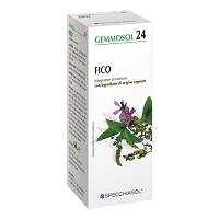 GEMMOSOL 24 FICO 50ML