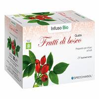 INFUSO BIO FRUTTABOSCO 20FILT