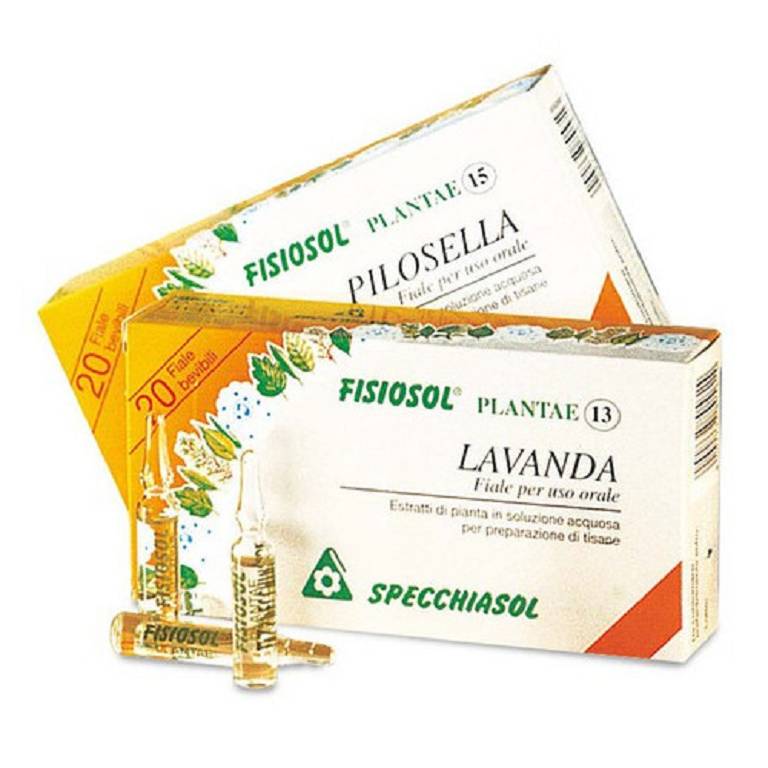 FISIOSOL 13 MAGNESIO 20F 2ML