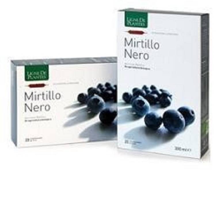 MIRTILLO NERO BIO 20AMPOLLE